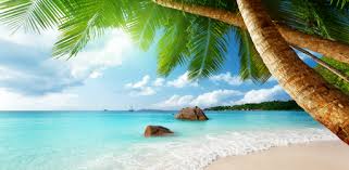 Free wallpaper for your desktop pc. Tropical Beach Live Wallpaper On Windows Pc Download Free 1 0 Com Wallpaperjoy Tropical