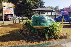 Big Frog Yungaburra Qld Aussie Australia Queensland Australia