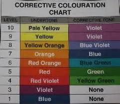 Violet Base Hair Colour Hair Color Wheel Color Correction