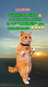 Humor Picante: Los Peligros de Las Mujeres