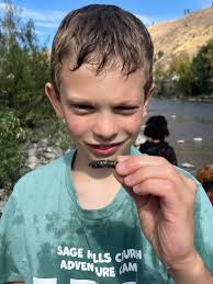 Washington-British Columbia Chapter of the American Fisheries Society...