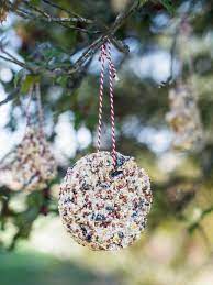 Kids Craft Bird Seed Christmas Ornaments Bird Seed Ornaments Homemade Christmas Gifts Kids Christmas