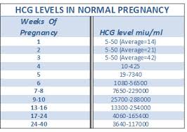 Normal 1st Trimester Ultrasound How To