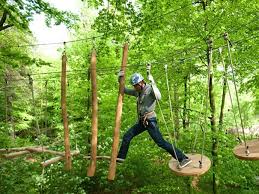 Kletterwald Mit Hochseilgarten Hamburg Wald Klettern Hamburg