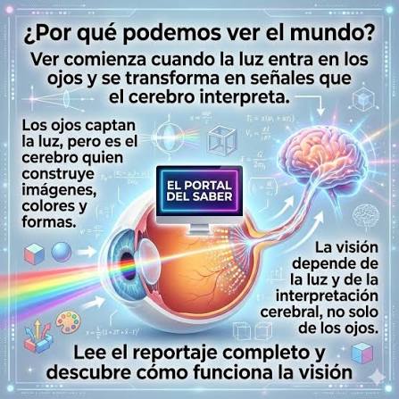  **Por qué vemos: el proceso invisible que crea las imágenes** Ver parece  algo automático. Abrimos los ojos y el mundo aparece frente a nosotros. Sin  embargo, la visión no ocurre