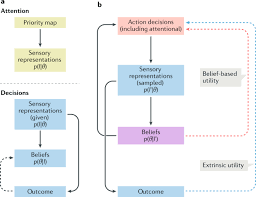 You can use this swimming information to make your own swimming trivia questions. Towards A Neuroscience Of Active Sampling And Curiosity Nature Reviews Neuroscience