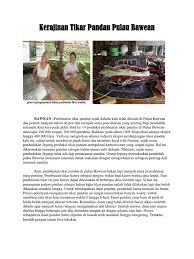 Selain untuk tempat tidur dan alas jemuran, juga digunakan untuk alas duduk bagi tamu agung atau tamu yang sangat dihormati. Kerajinan Tikar Pandan Pulau Bawean