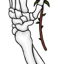 Discover thousands of premium vectors available in ai and eps formats. Skull Hand Holding Rose Drawing Novocom Top