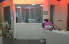Pets In The City Provide Exclusive Pet Daycare Services In Jumeirah Lake Towers Dubai For More Details Where To Buy Puppies Pet Daycare Dog Grooming Business