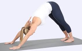 How To Practice Yoga For Herniated Disc Relief Vive Health