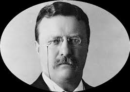 Junior Ranger Activity Book (Ages 7 and Up)