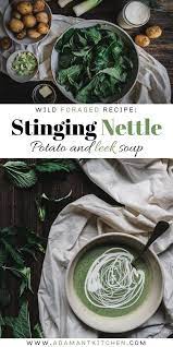 Potato Leek And Nettle Soup Recipe Nettle Recipes Nettle Soup Foraging Recipes