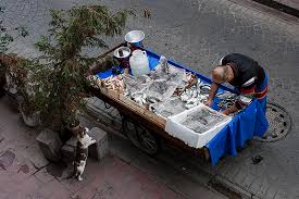 How To Get The Most Out Of Istanbul A Highly Opinionated List Istanbul Street Scenes Cats