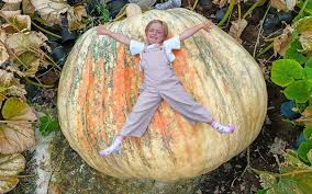 Image result for giant pumpkin
