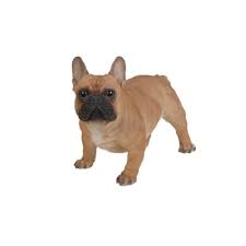 I advise you to check on the following wide assortment of life swimming vests. Statues Lawn Ornaments Life Size Realistic Black French Bulldog Puppy Dog Garden Statue Home Garden Samsungupdated Com