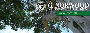 Our professional relationship with g. G Norwood Landscape Management Home Facebook