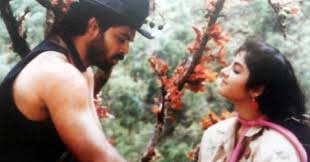 Bobbili Raja (1990)