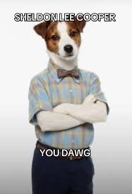 you dawg