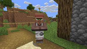 Well, in minecraft, villagers conventionally have 5 professions. Minecraft Top 10 Best Villagers