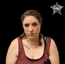 PRESS RELEASE SHERIFF NICK SMITHERMAN 07/11/2024 On July 9th, 2024,  detectives with the Yadkin County Sheriff's Office ACE Team concluded a  narcotics investigation involving the distribution of methamphetamine. This  investigation began in