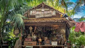 A few controversial aspects of the jungle cruise attraction at disney's anaheim, california, park have been taken out, and the ride is set to reopen friday, the independent reported. Disneyland Jungle Cruise Ride Removes Racially Insensitive Features
