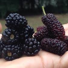 Maybe you would like to learn more about one of these? Facebook