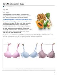 Sebelum beralih pada cara penggunaan bawang putih untuk kesehatan pria, ada baiknya mencermati terlebih dahulu cara memilih bawang putih yang baik. Cara Membesarkan Susu By Aruorocom Issuu