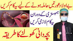 Check spelling or type a new query. How To Conceive Fast After Periods Conceiving Tips In Urdu Get Pregnant Fast In Urdu Youtube