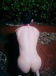 酒絆_s on X: #露出#sm #女s #男m #贱狗t.coUqmahIVMes  X