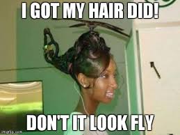 I Got My Hair Did Don T It Look Fly Funny Meme