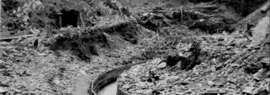 Find the latest comstock mining, inc. Lode Vs Place Mining Wells Historical Society