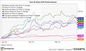 8 Reasons To Consider Buying A Marijuana Stock Or Hemp Stock