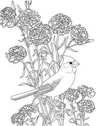Cardinal Coloring Page And Cardinal Ohio State Flower And Brid Coloring Page Super Coloring Bird Coloring Pages Animal Coloring Pages Coloring Pages