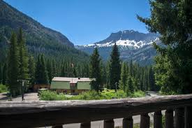 The silver gate/cooke city area is popular with wolf watchers (the lamar valley is a short drive away). Silver Gate Montana Ethan Maurice
