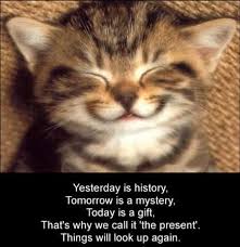Cute Cat Pictures with Sayings | cute-kitten-smiling-inspirational ... via Relatably.com