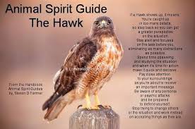 Animal Spirit Guide The Hawk Animal Totem Spirit Guides Animal Spirit Guide Animal Spirit Guides