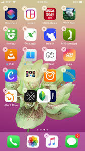 Ios 13 1 Bug Can T Rearrange Apps On Ho Apple Community