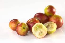 Kamu language, an extinct indigenous australian language. Camu Camu Meyvesi C Vitamini Dolu Tropikal Lezzet Ege Pazarindan
