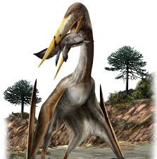Maybe you would like to learn more about one of these? Largest Ever Flying Creatures Had Longer Necks Than Giraffes We Found Out How These Pterosaurs Kept Their Heads Up