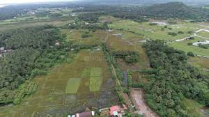 Properties below 50 Lakhs in Revdanda