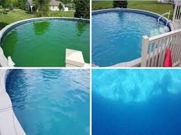 Swimming Pool Care Testimonies Pool Testimonials Green Pool Water In Ground Pools Green Pool