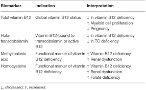 Online shopping for both forms of vitamin b12, cyanocobalamin and methylcobalamin from a wide selection of b12 vitamins at everyday low prices. Frontiers Vitamin B12 Intake From Animal Foods Biomarkers And Health Aspects Nutrition
