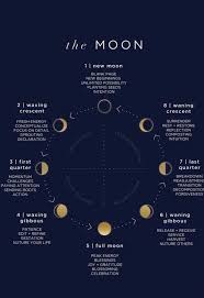 The Moon Image Only Phases Meanings Cycles Astronomytelescopes Moon Phases Lunar Cycle Astrology