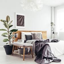 Inhaling the scent of valerian root has been shown to induce sleep and improve the quality of sleep. Which Plant For Which Room Best Indoor Plants For Every Room