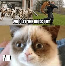 Hilarious cats say the funniest things! Grumpy Cat Memes Clean For Kids Viral Memes