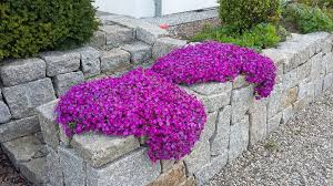 Die menschen haben in den letzten jahren den großen wert von gärten wieder neu entdeckt. Flora Garten Und Landschaftsbau Auggen Markgraflerland Leistungen Mauerbau Und Treppenbau