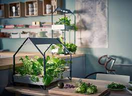 14 Indoor Smart Garden Ideas You Will Love Smart Garden Guide Ikea Indoor Garden Indoor Hydroponic Herbs Indoors