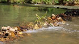 Plages naturistes privées en bord de rivière - Domaine de lEglantière