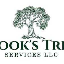Filing paperwork and getting your tree service license,. Cook S Tree Services Tree Services 202 Highland St Gassaway Wv Phone Number Yelp