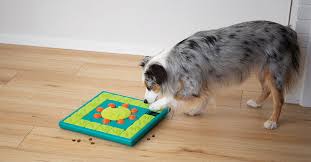 We did not find results for: The 6 Best Dog Puzzle Toys For Mental Stimulation Furtropolis